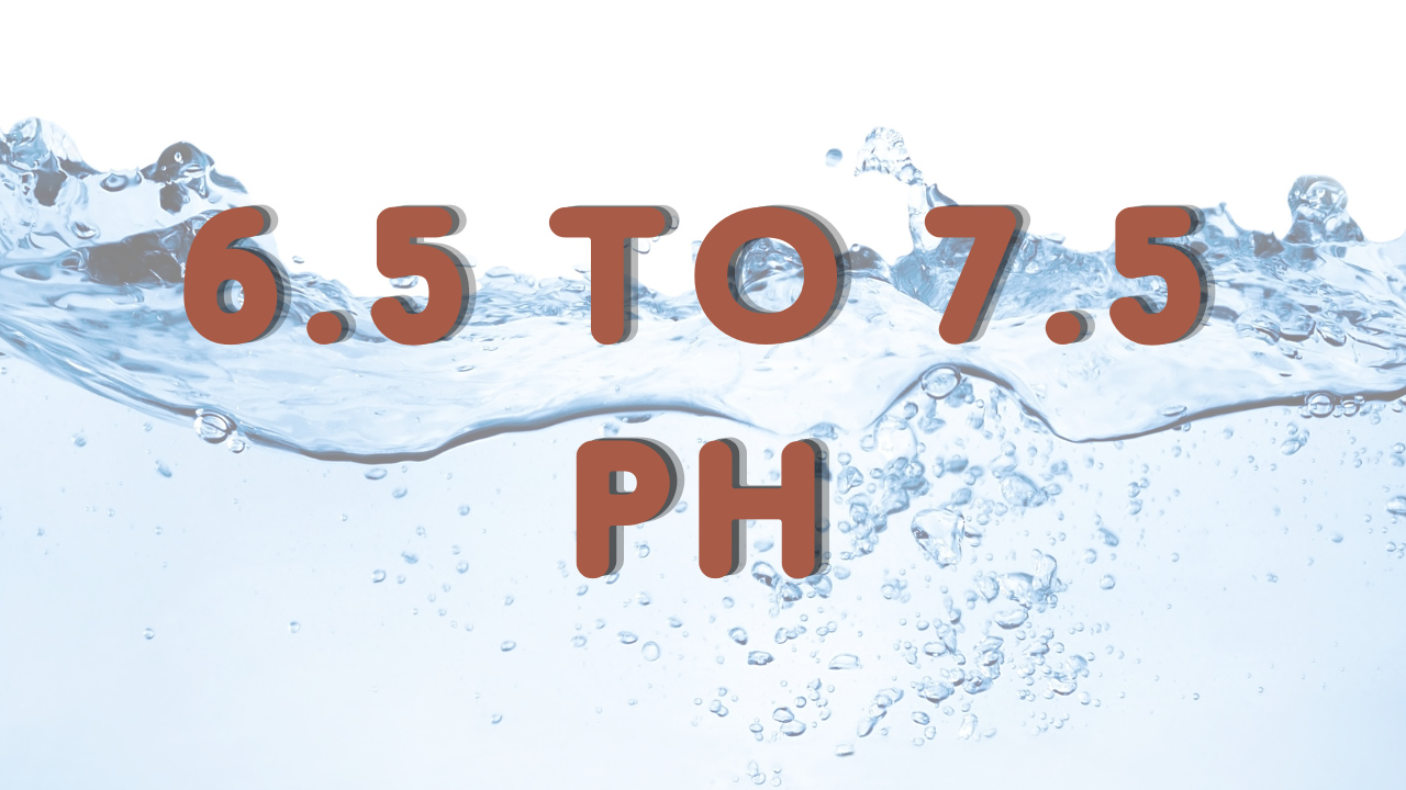 ideal water ph for coffee brewing